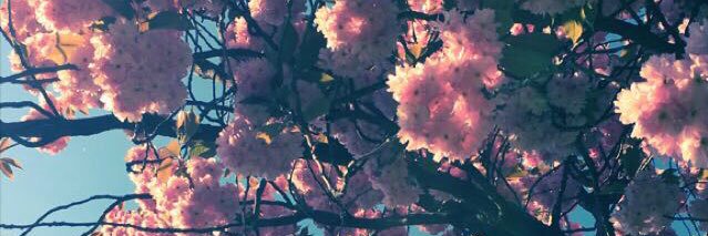 lynne79's profile banner image