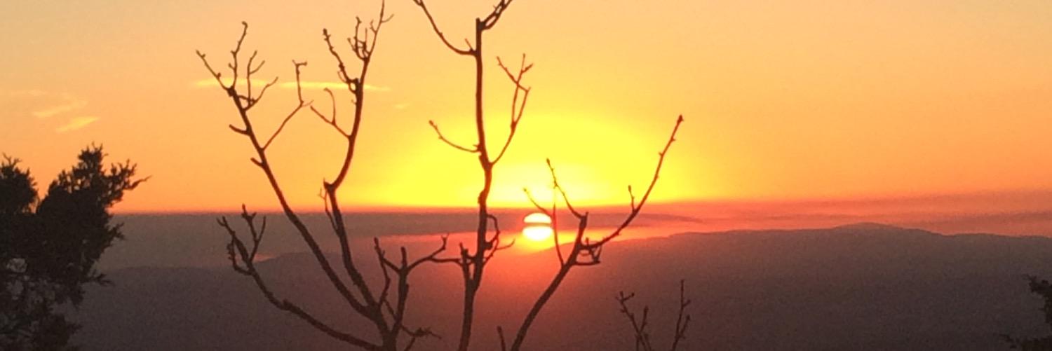 jess_arivett's profile banner image