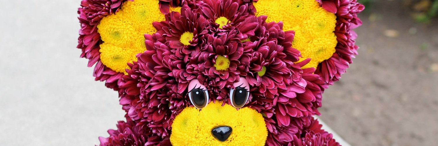 bloomingbears's profile banner image