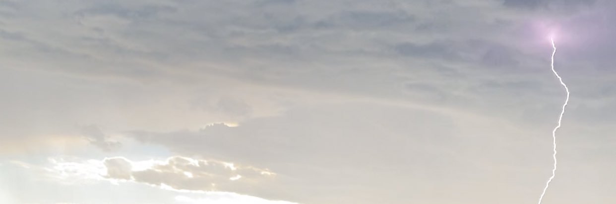 sierrahscarpine's profile banner image