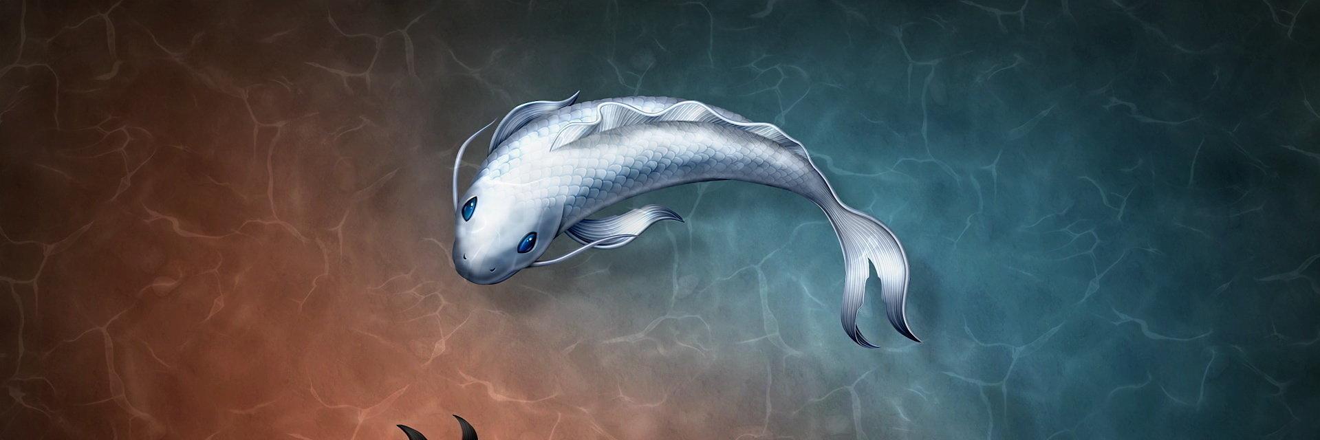 Fhernando Macías banner