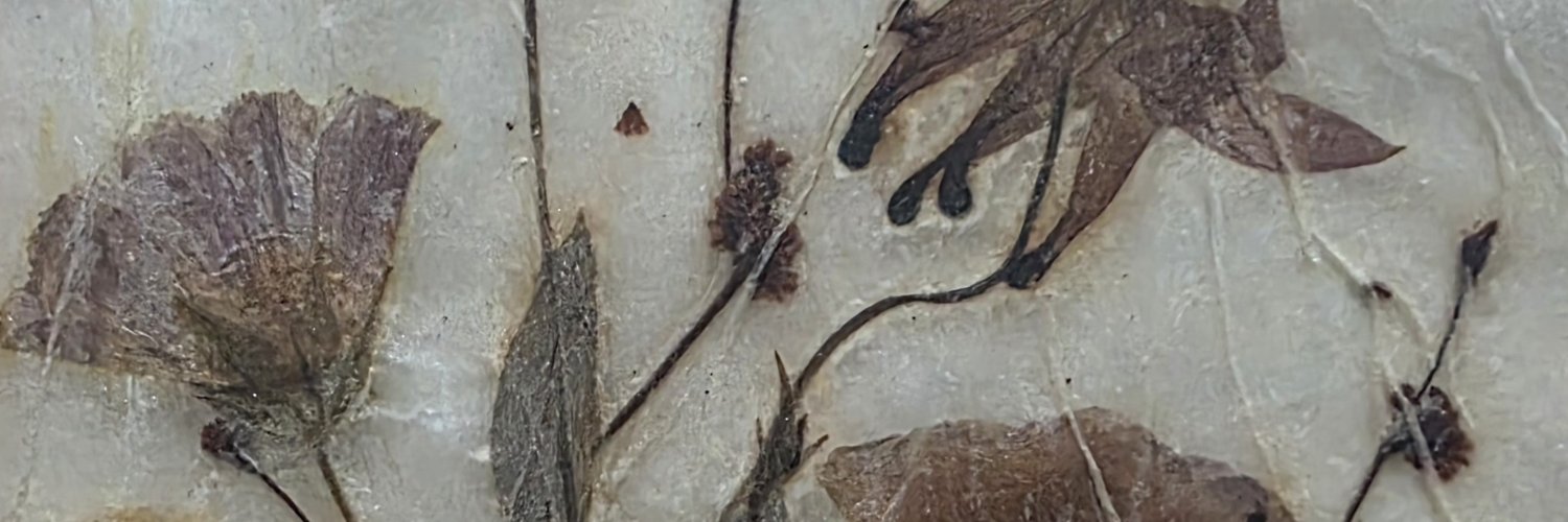 341Fher's profile banner image
