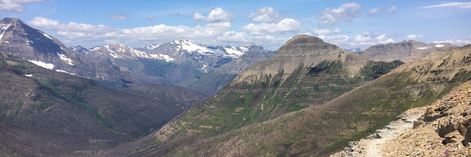 RossJacobson's profile banner image