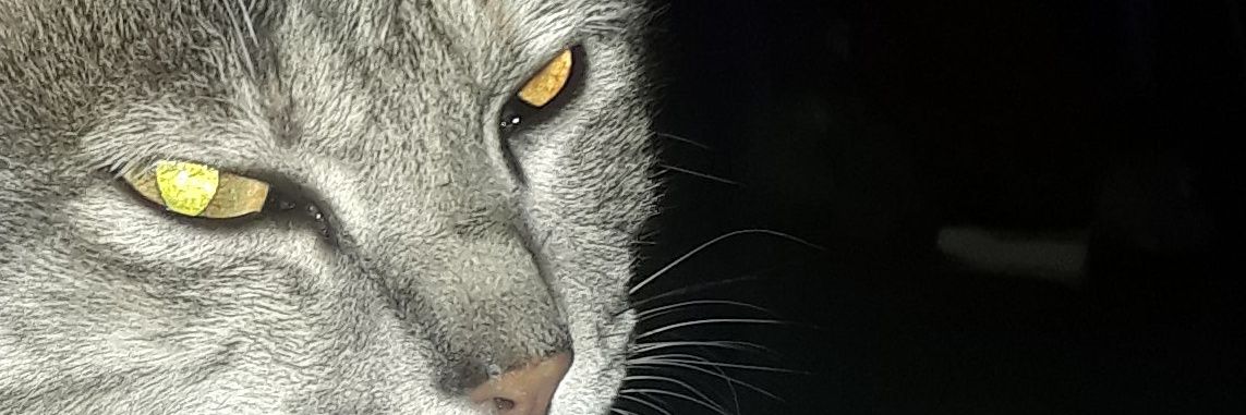 noiserot's profile banner image