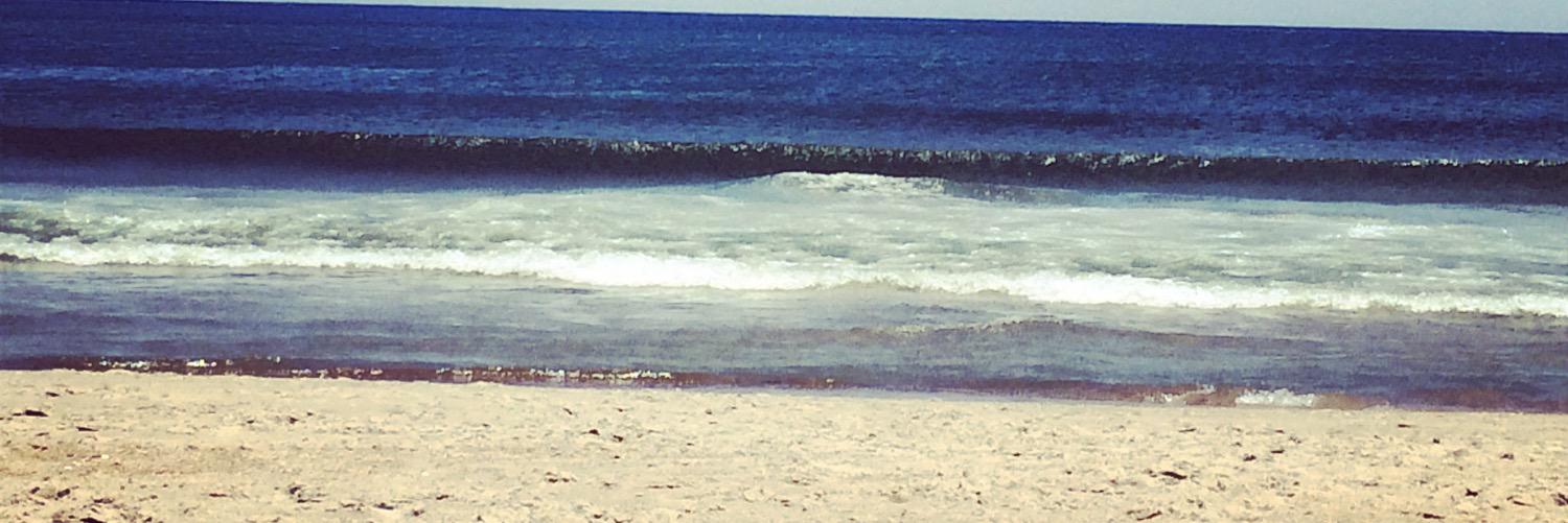 willhaney16's profile banner image