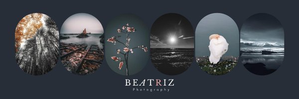 Beatriz Profile Banner
