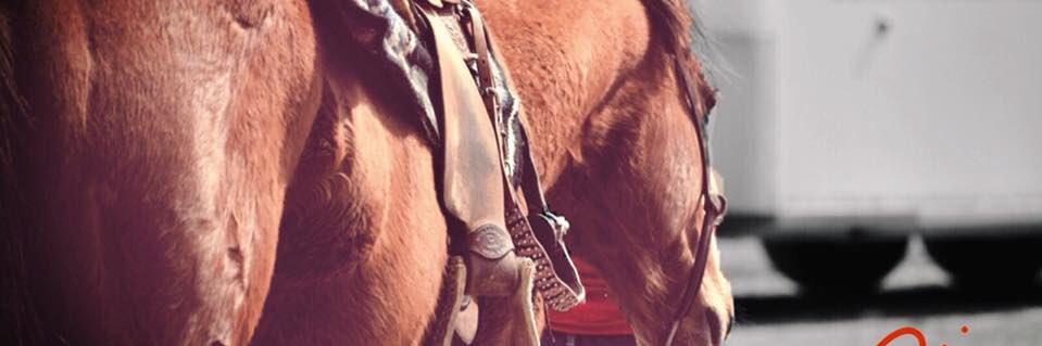 rodeogypsy101's profile banner image