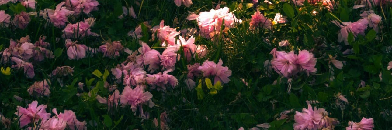 5296Rk's profile banner image