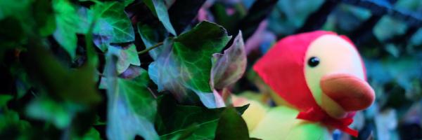 056826244 Profile Banner