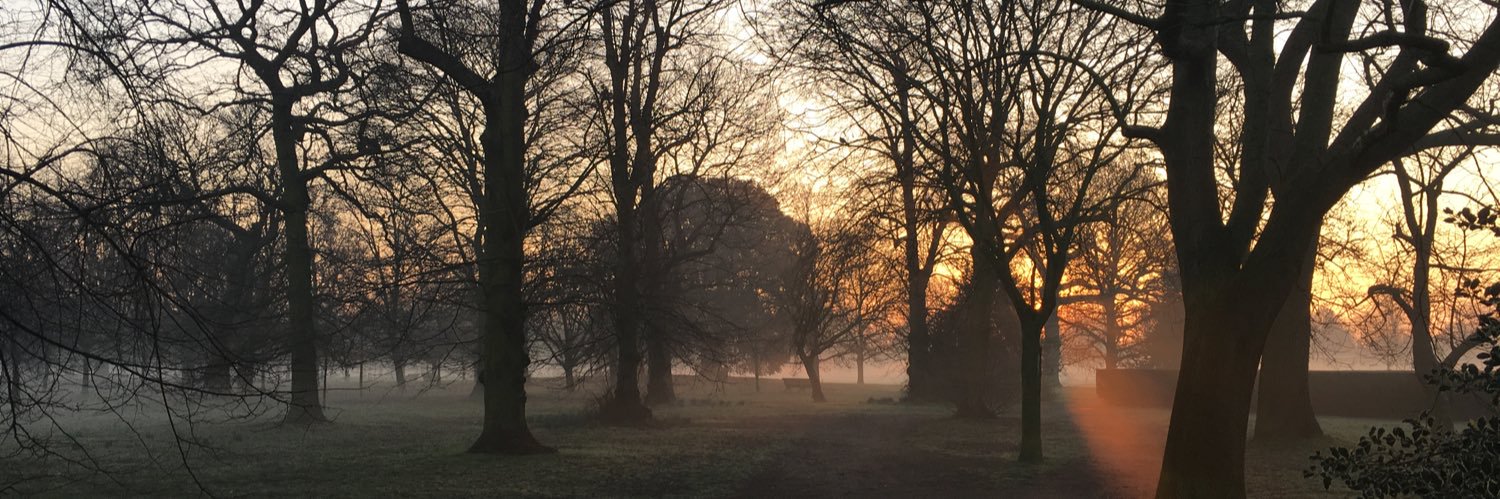 Caroline Mason banner