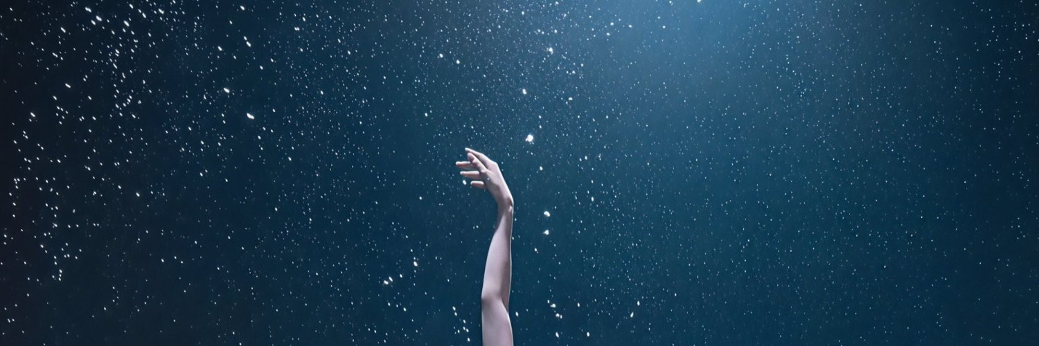 MinaPengui's profile banner image