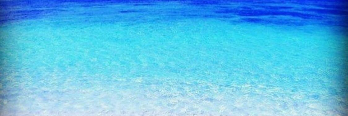 flota_flota's profile banner image