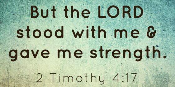 chris willows banner