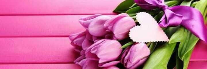 D_Ladyyyy's profile banner image