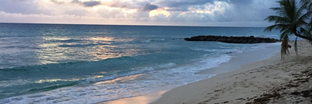 CaitlinSmith99's profile banner image