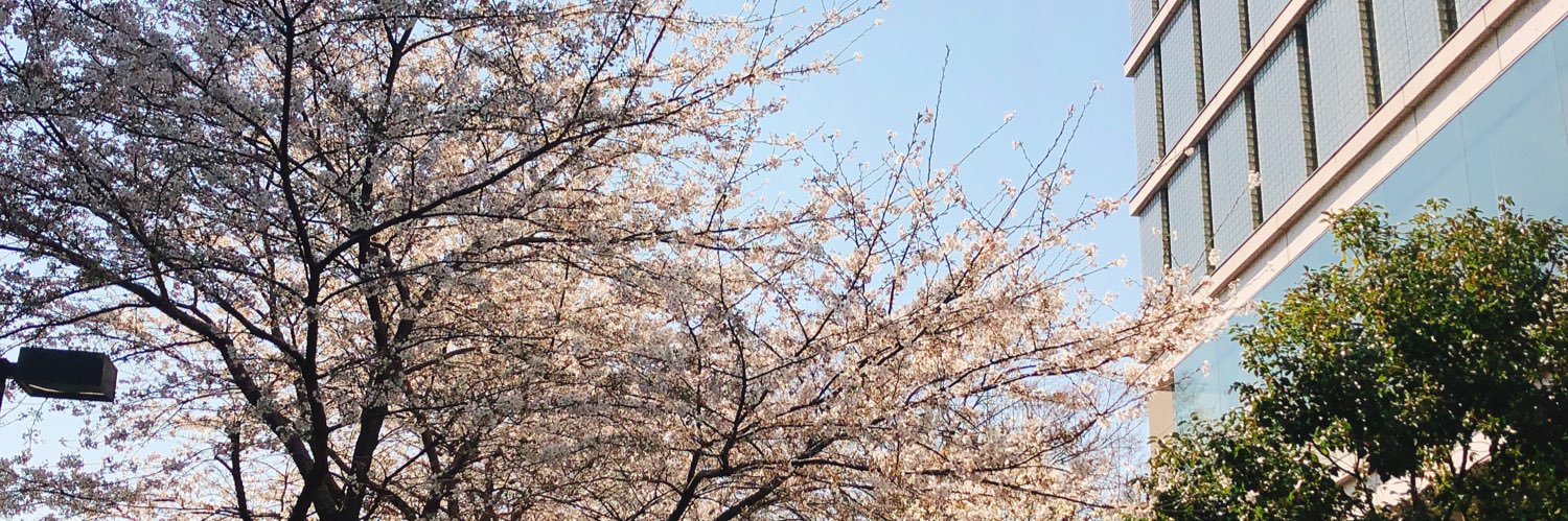 ena24_k's profile banner image
