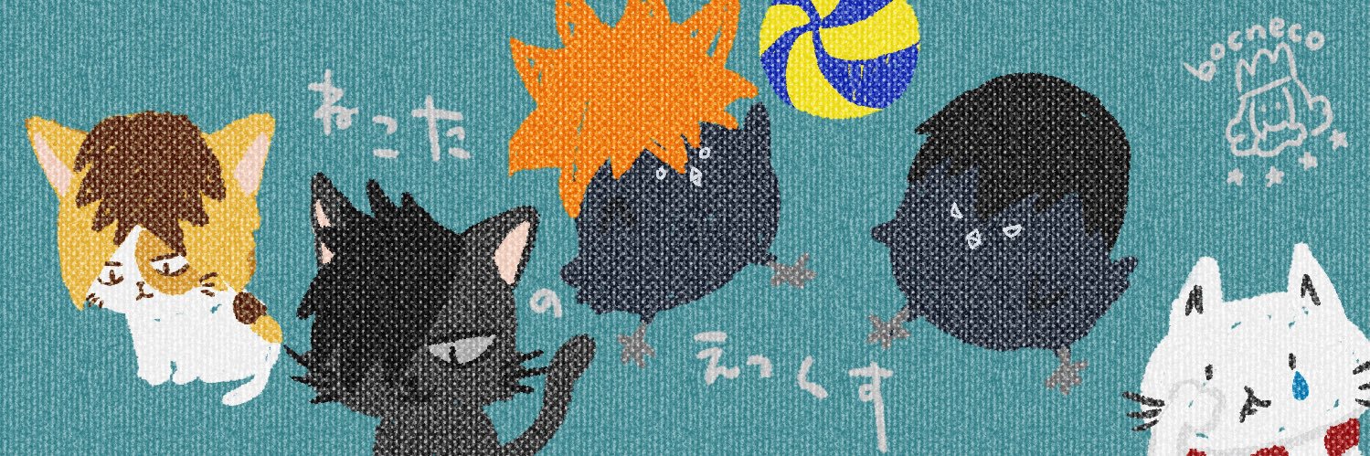bocneco's profile banner image