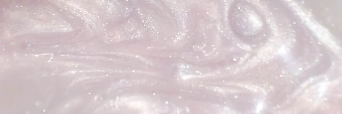kitty_dy32's profile banner image