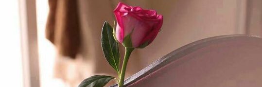 ‏ABO ANAS♥️ banner