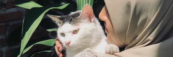 cryptoloisz Profile Banner