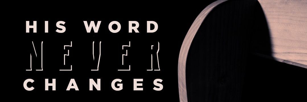 anorberth's profile banner image