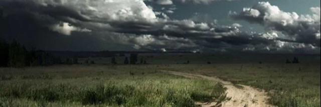 Nicol_Mullins's profile banner image
