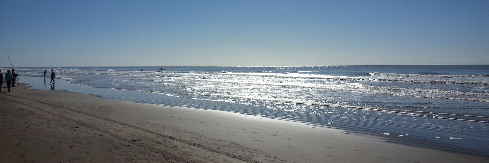 Rodrigo F. Castillo banner