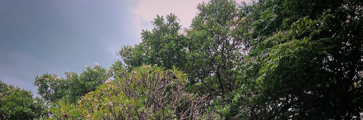 roomansasa's profile banner image