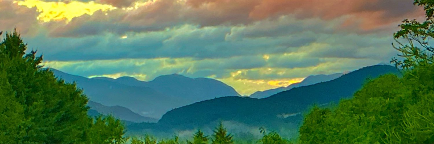 bottompaint's profile banner image