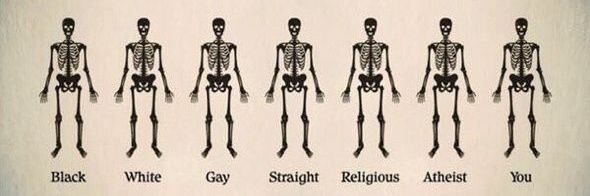 Dylan Herrera 🇵🇸 banner