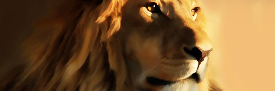 NLPD23's profile banner image