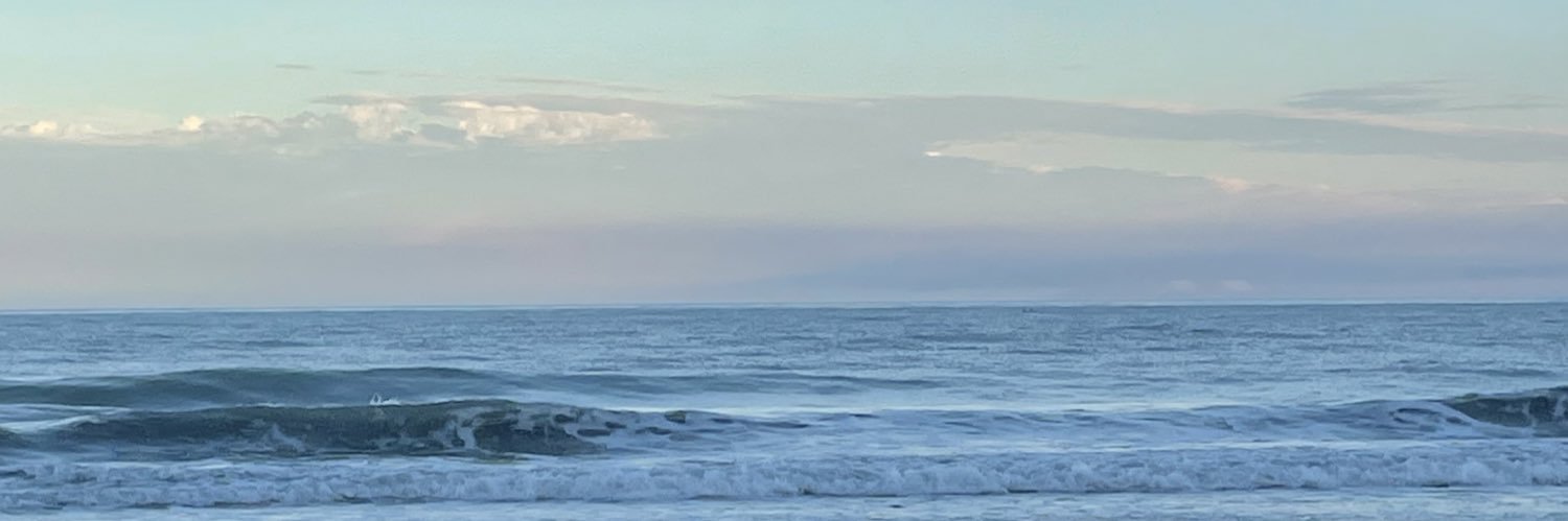valesbrocco's profile banner image