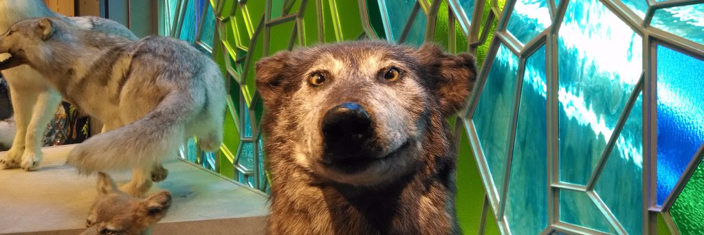 bennythebaker's profile banner image