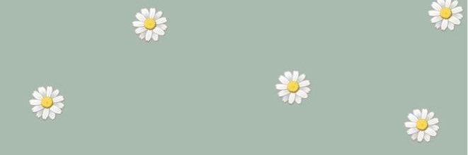 carlasmh's profile banner image