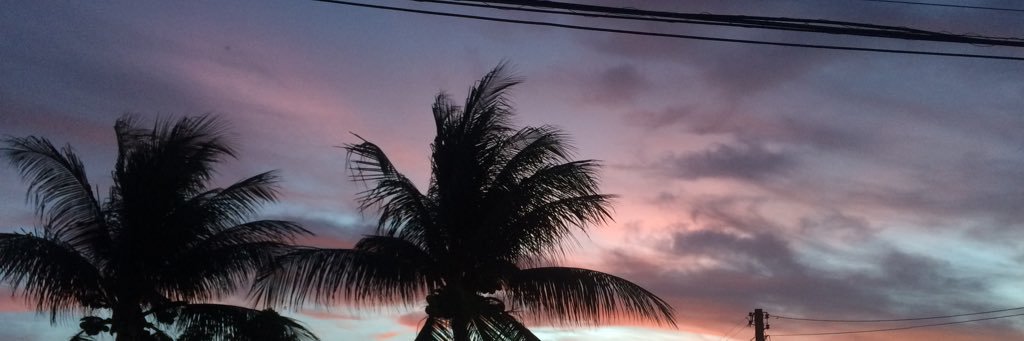 rauldaguiar's profile banner image
