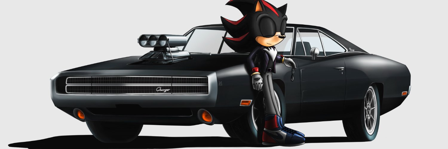 Alex The Hedgehog banner
