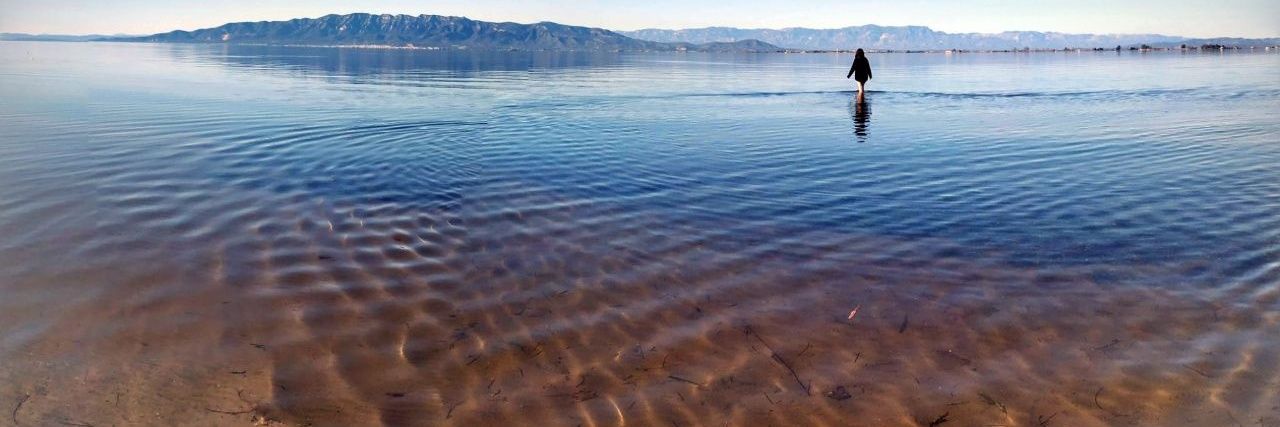 Maria Sirvent banner