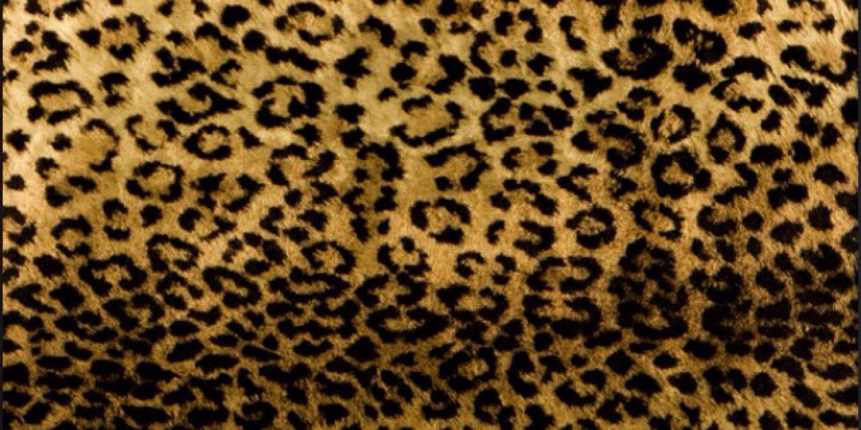 niamaksum's profile banner image