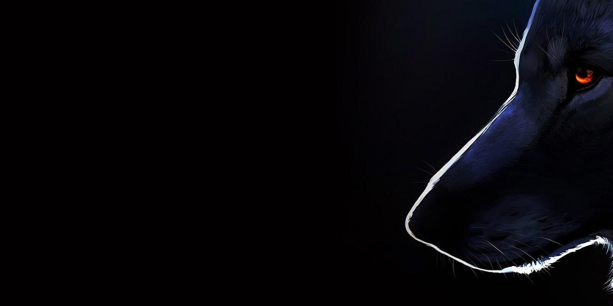 zeher___'s profile banner image