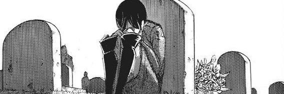 cerisatoru's profile banner image
