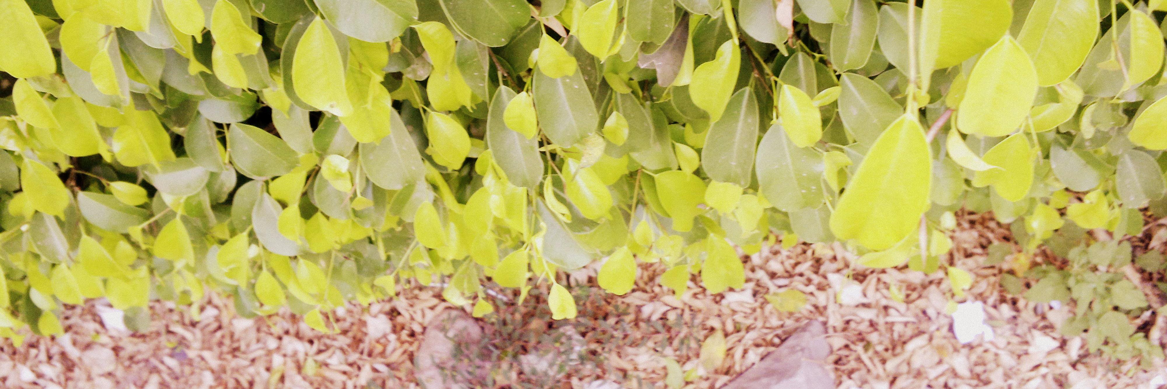 slaykernels's profile banner image