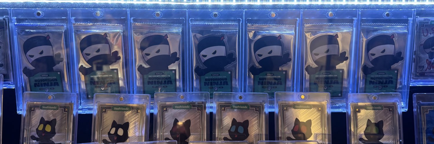 Steve Blinky Bricks banner