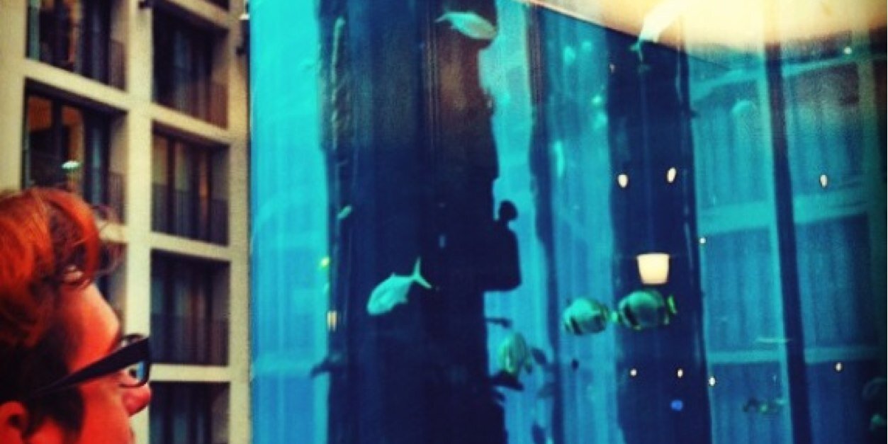 ollsters's profile banner image