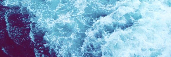 littlebird_a's profile banner image
