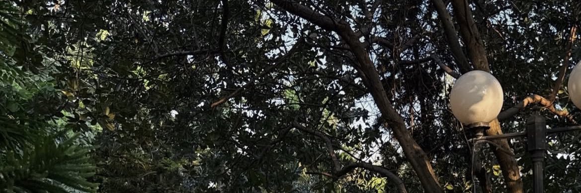 NoviaaAlvaro's profile banner image