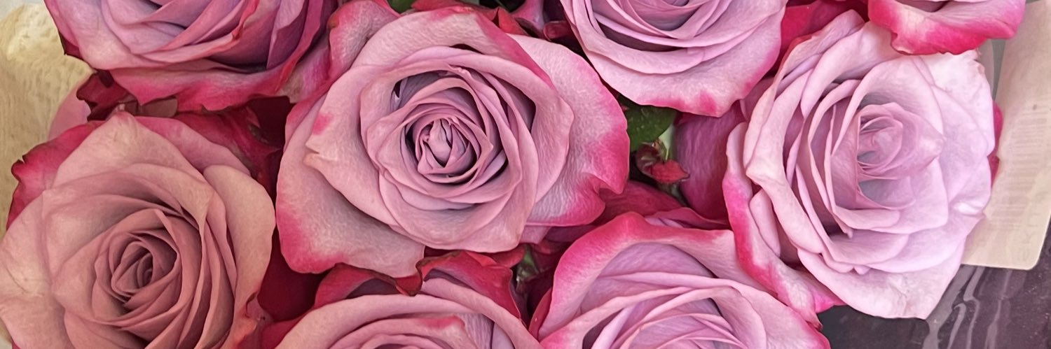 marilynmriverac's profile banner image