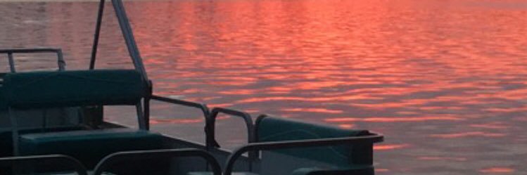 tothhhh19's profile banner image