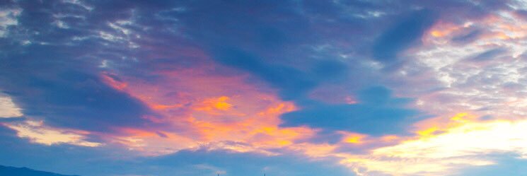 skybear2014's profile banner image
