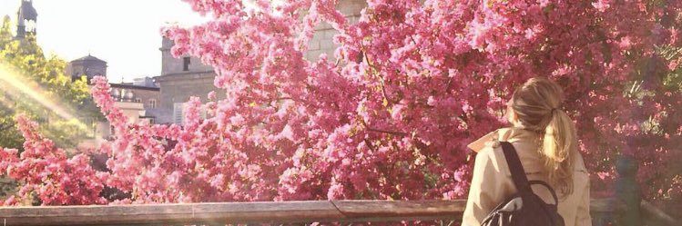 MissPriscilaV's profile banner image