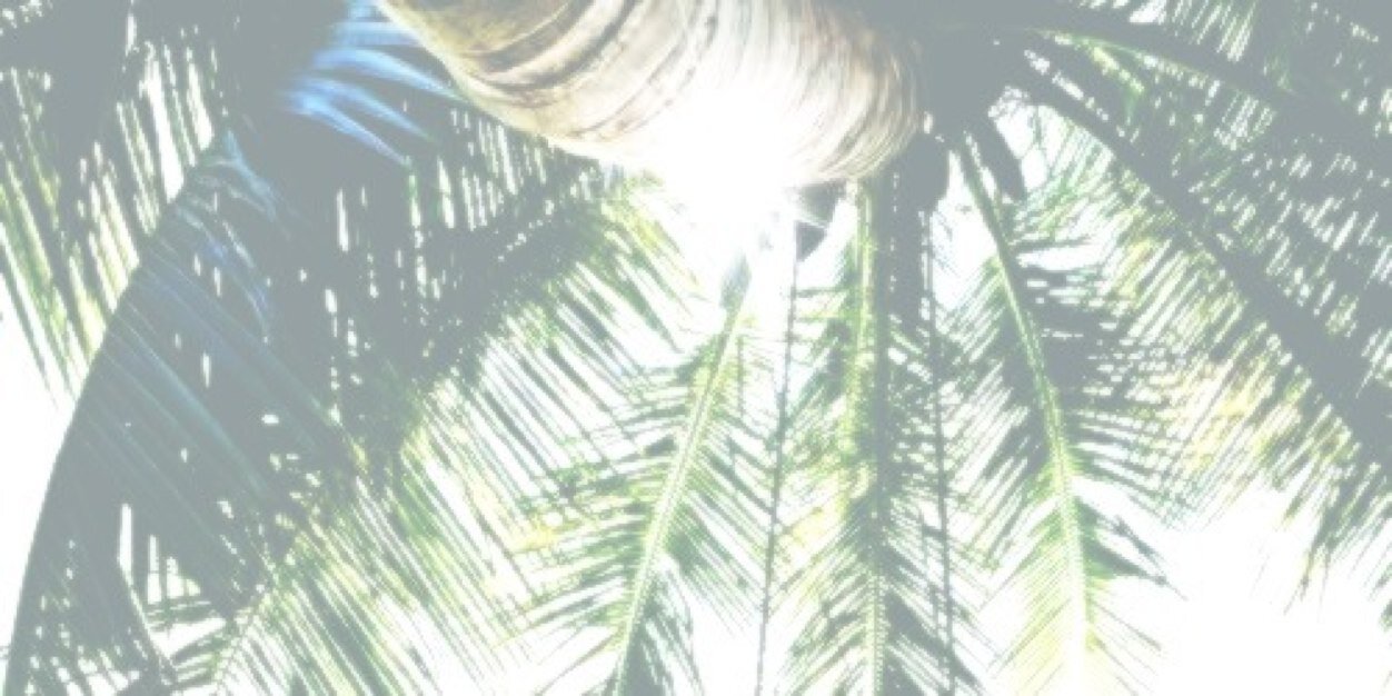AllisonRPGUTD's profile banner image